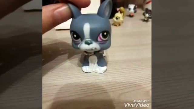 Синий кит , тихий дом , разбуди меня в 4 : 20 , Я в игре смотреть онлайн