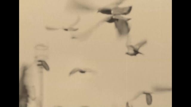 Михаил Борисов / Сизые крылья (Неизданное) смотреть онлайн