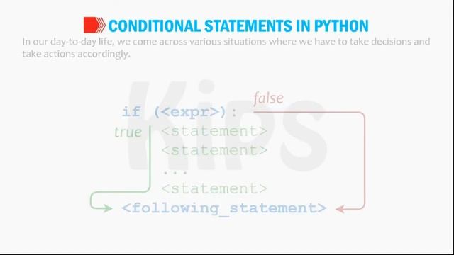 More on Python | Class 7 | Chapter 7 смотреть онлайн