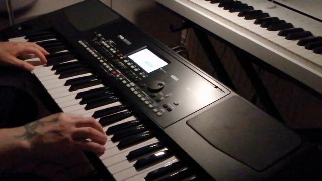 Korg PA300 - Phil Collins - Another Day in Paradises (Relaxing Instrumental Cover) смотреть онлайн