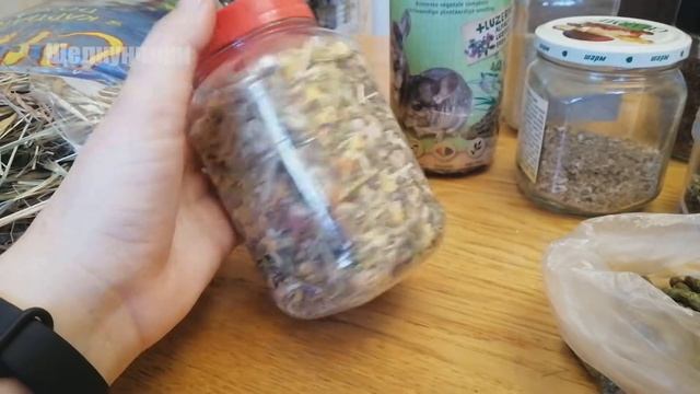 Что кушают наши дегу смотреть онлайн