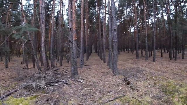 Ходили по грибы. Бытовуха на селе смотреть онлайн