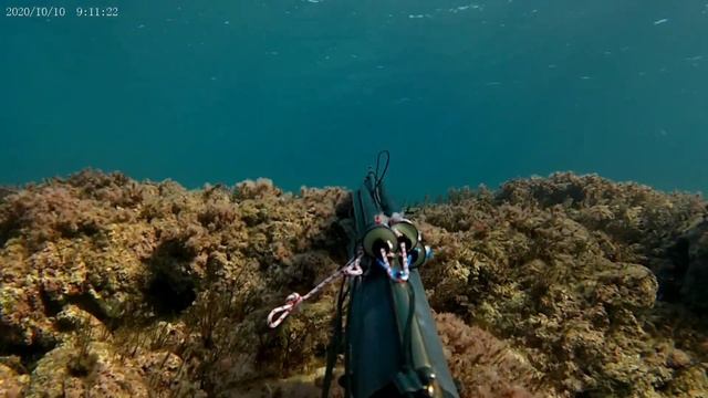 chasse sous marine Octobre Tunisie bizerte automne 2020 temps calme смотреть онлайн