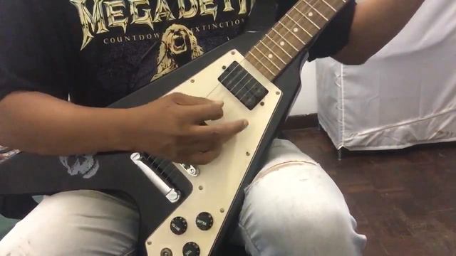 Photogenic Flying V Sound Review