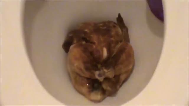 Злой Повар Как приготовить курицу смотреть онлайн