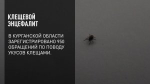 Клещевой энцефалит