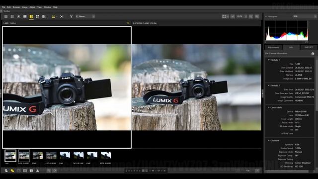 Nikon D5500 VS Nikon D750 для Фото охоты 300мм F4 FL смотреть онлайн