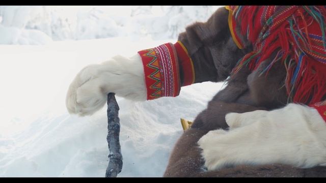 Sami reindeer herder tells a story about her life in the tundra | Visit Norway смотреть онлайн