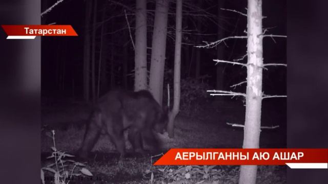 Татарстан хәбәрләре 14/08/2024 смотреть онлайн