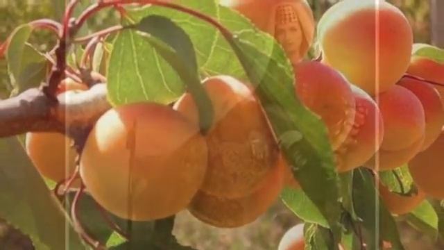 ОВ, СИРУН, СИРУН - МОНТАЖ ТАТЬЯНЫ СИТНИКОВОЙ