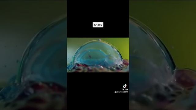 23 сентября 2022 г. смотреть онлайн