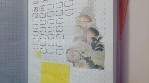 VID_20240902_061552.mp4