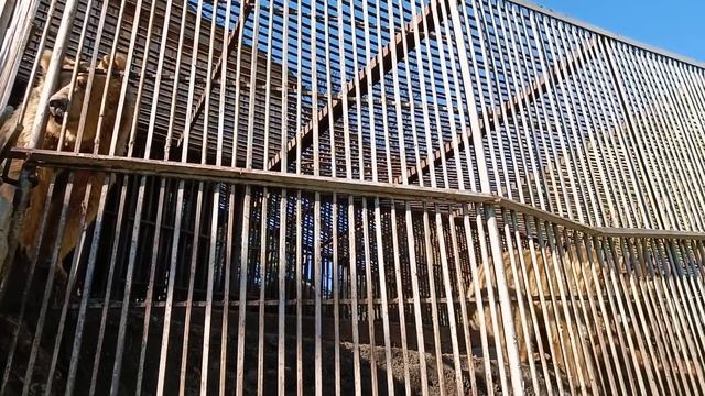 Северная Осетия. Достопримечательности. Что посмотреть!!? смотреть онлайн