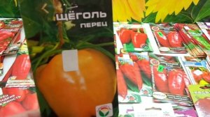 КАКОЙ ПЕРЕЦ ВЫБРАТЬ? СОРТ ЩЕГОЛЬ. Обзор Ольги Черновой.