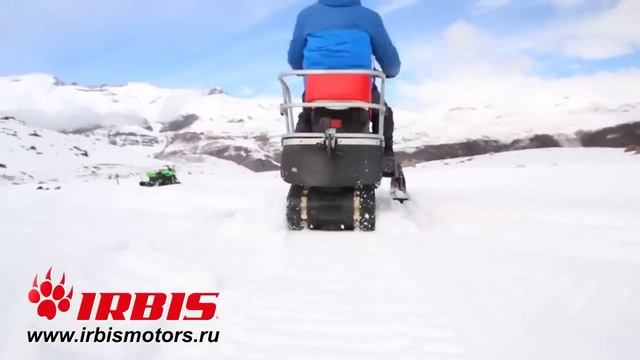 Обзор снегохода dingo T150 смотреть онлайн