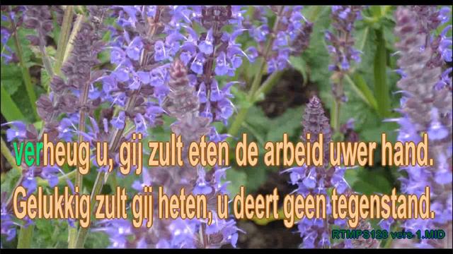 Psalm 128 vers 1 Ritmisch Karaoke Lyrics ..wmv смотреть онлайн