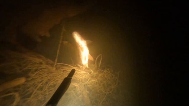 Десногорское водохранилище, нашел мотор! смотреть онлайн