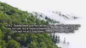 Сура Ясин грустное чтение Корана. Сура «Ясин» помогает решить проблемы?