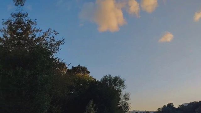 Эпизод таймлапс в Ботаническом саду: небо, облака timelaps смотреть онлайн