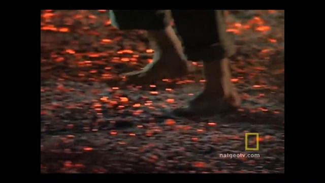 survivor TAKS video смотреть онлайн
