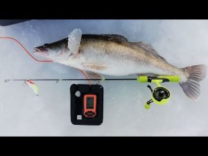 ЗИМНЯЯ РЫБАЛКА НА СУДАКА С ЭХОЛОТОМ ПРАКТИК.ЛУЧШАЯ УДОЧКА НА СУДАКА.ЛУЧШИЕ ПРИМАНКИ НА СУДАКА.р.КАМА