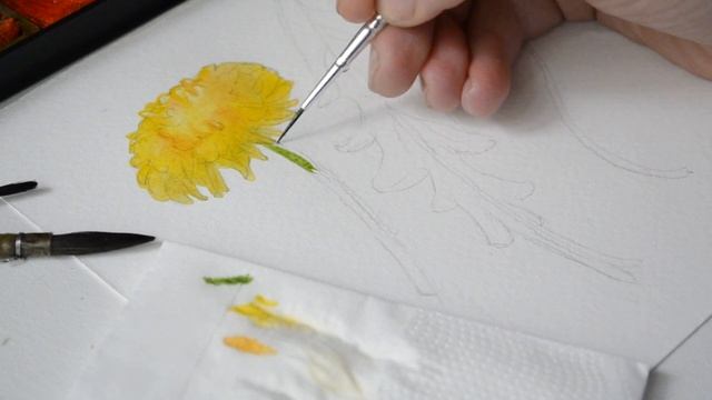 Dandelion in watercolor/ Одуванчики акварелью смотреть онлайн