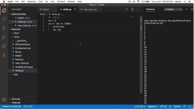 7. While Loop pada Python смотреть онлайн