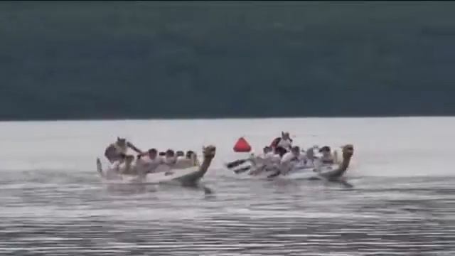 Поддержка спорта. Гребля на 'драконах' Уссурийцы участвовали в краевых соревнованиях смотреть онлайн