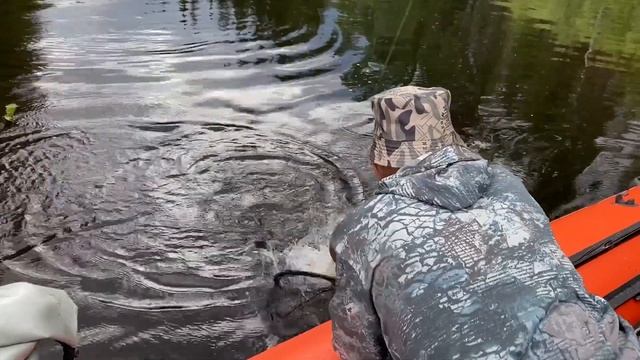 Рыбалка в сибирской тайге #2 Трофейный Хариус , Лось в реке . смотреть онлайн