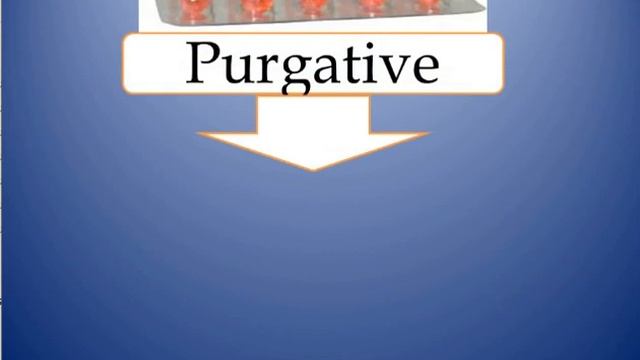 Teania+ echinoccosis 2021 GIT module смотреть онлайн