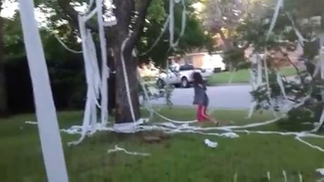 My house got TP'd смотреть онлайн