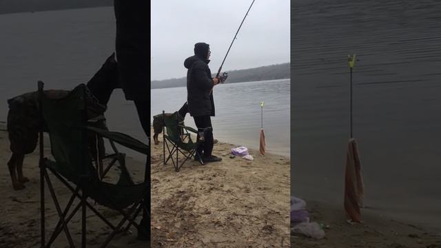 Собака-Рыбака!Верный друг и товарищ!😁 смотреть онлайн