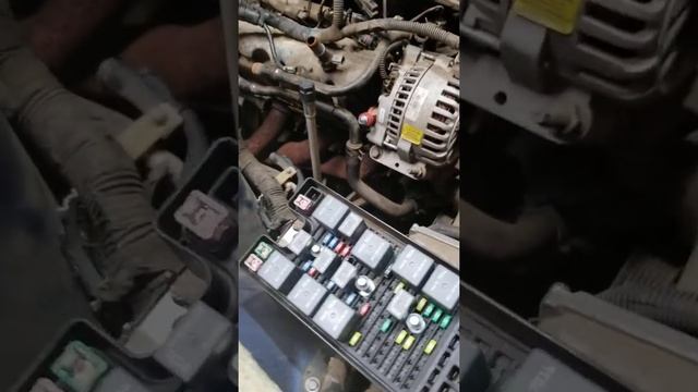 2006 Mustang, Disconnecting Engine Harness from Fuse Box Power Distribution Module смотреть онлайн