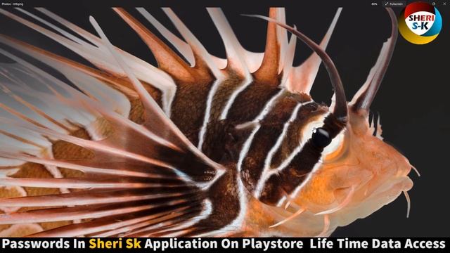 20 HD Fish PNG Files For Banners |Sheri Sk| |Photoshop Tutorial| смотреть онлайн