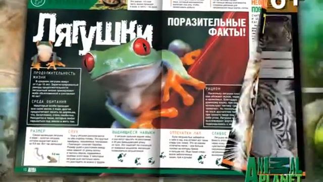 Animal Planet. Детский клуб. Номер 2 смотреть онлайн