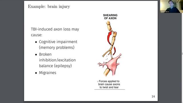 Lecture 10. Networks in brain (Computational Neuroscience Course) смотреть онлайн