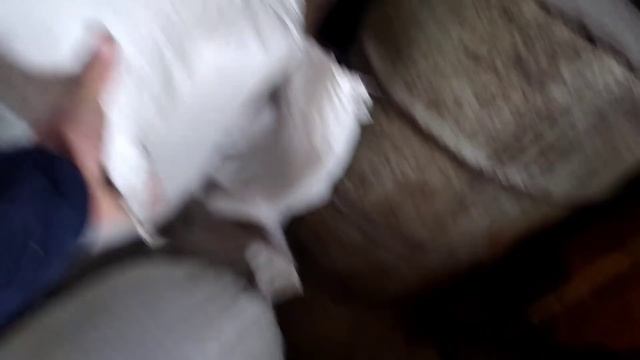 Почистил семечки!Отвёз на маслобойню! смотреть онлайн