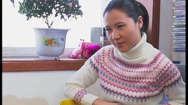 New Practical Chinese Reader 2 Lesson 20 смотреть онлайн