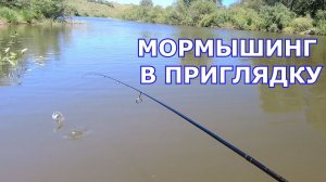 Мормышинг на реке, 7 видов рыб. Рыбалка днем на малой реке, на мормышку и микроджиг.