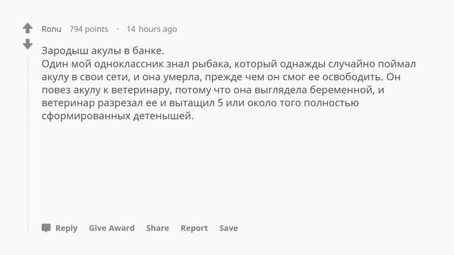 Какой неожиданный подарок вы получили на День Рождения? смотреть онлайн