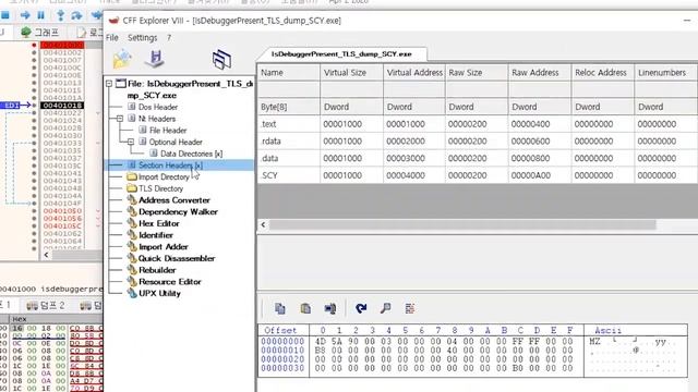 TLS(Thread Local Storage) 및 IsDebuggerPresent 우회 설명 смотреть онлайн