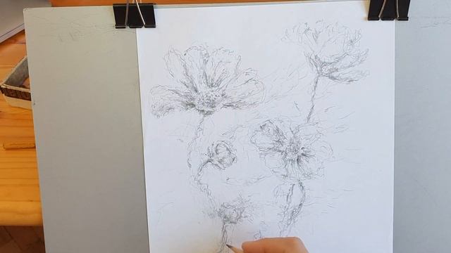 From Messy Dog Portrait to Blooming Cosmos. How to Sketch Garden Cosmos Flower" смотреть онлайн