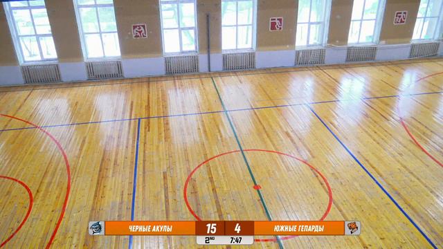 Черные Акулы - Южные Гепарды / U8-U11 / 17.02.2024 смотреть онлайн