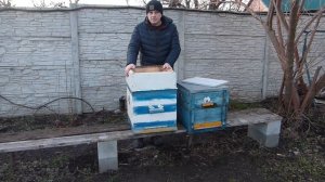 какой улей лучше улей 6-ти рамочный улей ппу . ппс 8ми и 10ти рамочный ульи на 2 семьи зимовка пчел