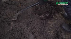 Как сажать розы весной? Правильно готовим посадочную яму | Посадка роз