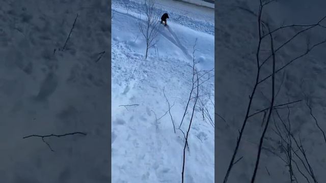 Небольшая лавина,на очень крутом спуске смотреть онлайн