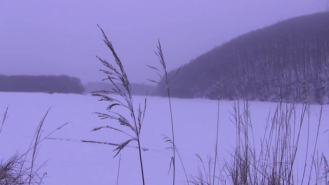 Бумагина смотреть онлайн