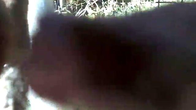 Вольер для кошек... Не зря построила.... смотреть онлайн