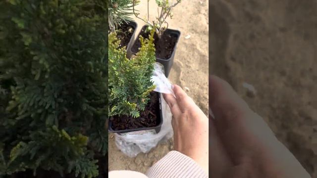 Распаковка 1й посылки из магазина Опт-Хоз смотреть онлайн