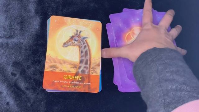 Unboxing Archangel Animal Oracle Cards смотреть онлайн